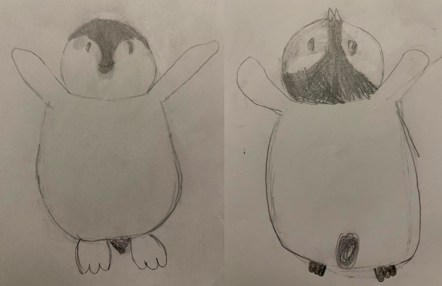 Pingui Drawing